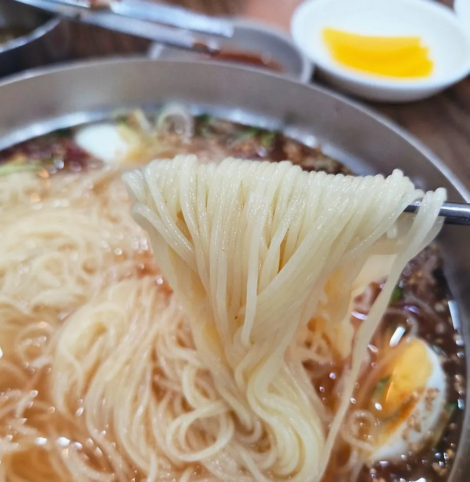 Noodles from mul-milmyeon lifted with chopsticks