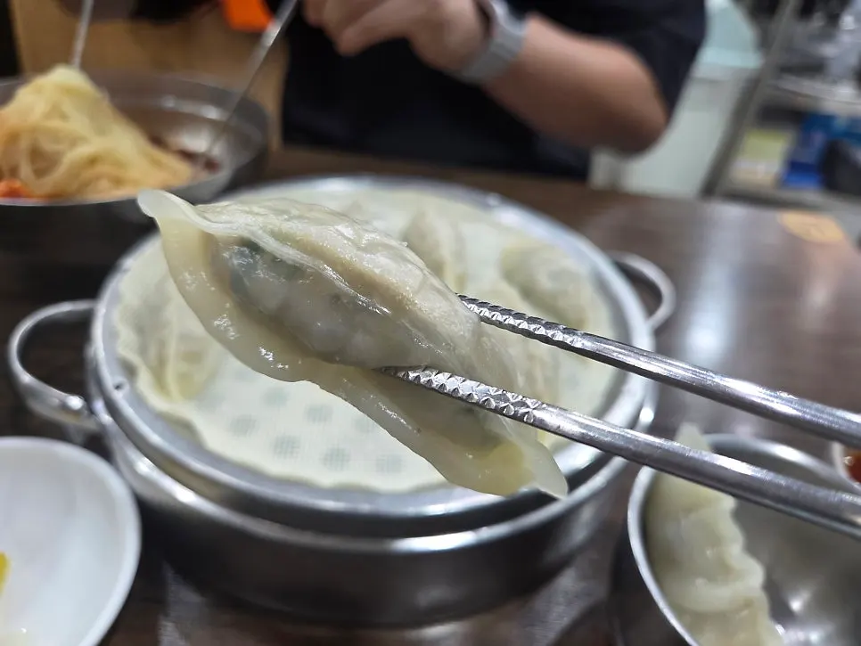 Meat-and-vegetable filling inside a dumpling wrapper