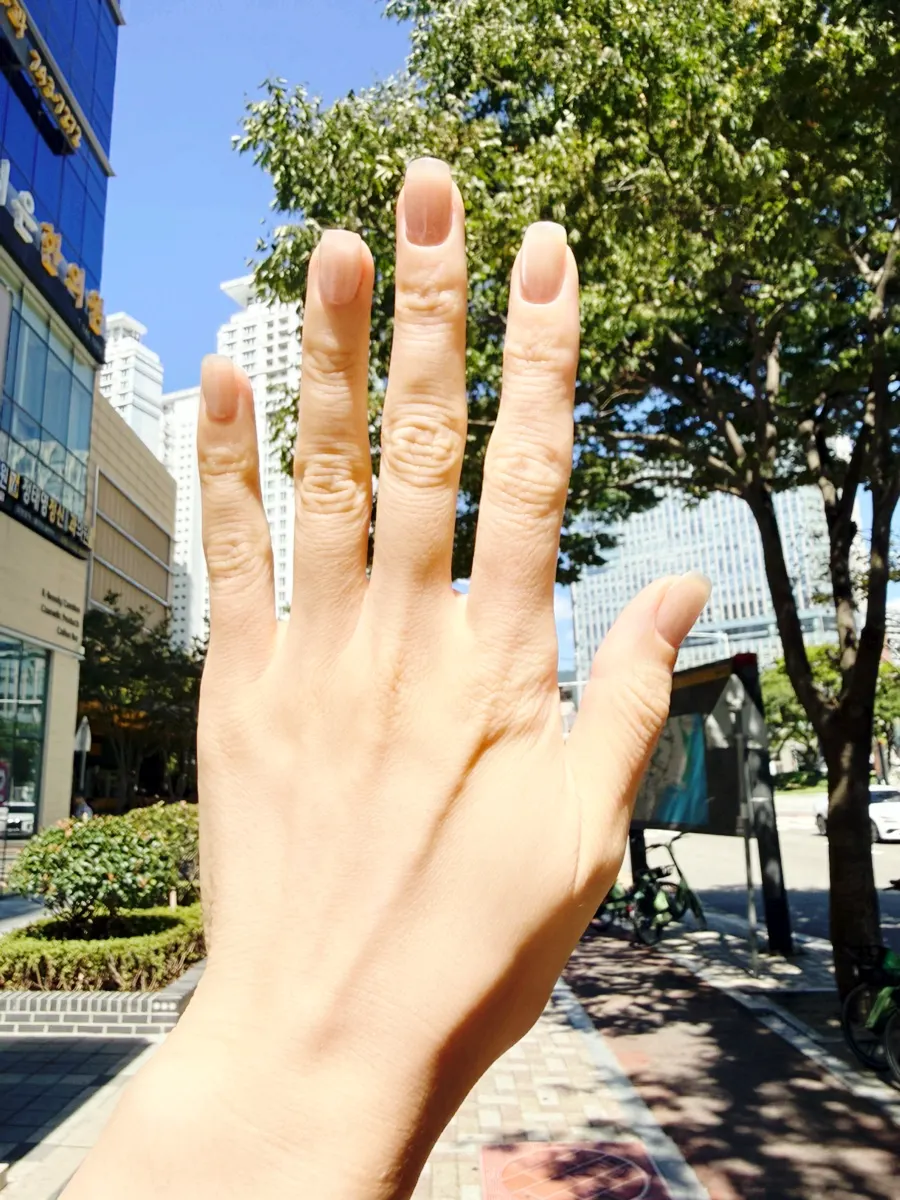 Finished clear rose magnetic gel nails