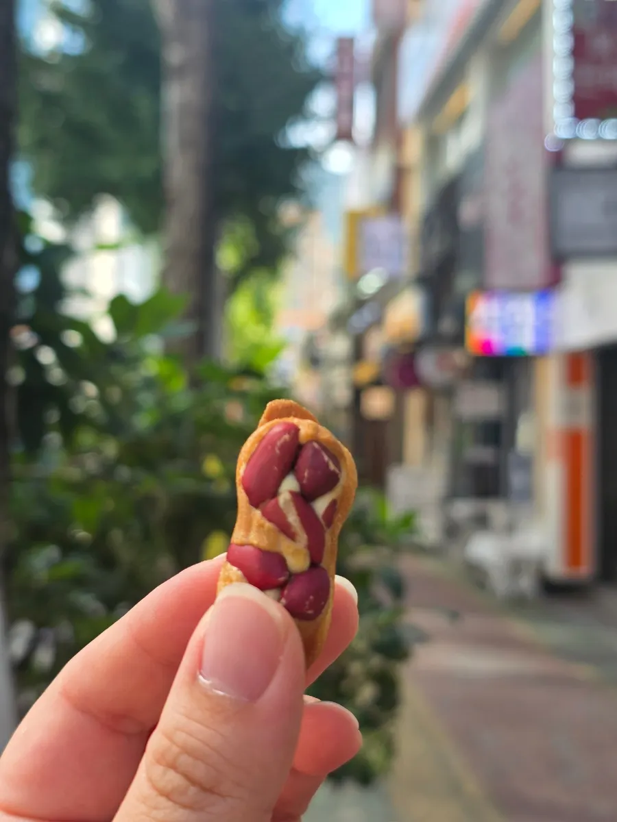 땅콩이 빼곡하게 박힌 대신땅콩빵 땅콩빵
