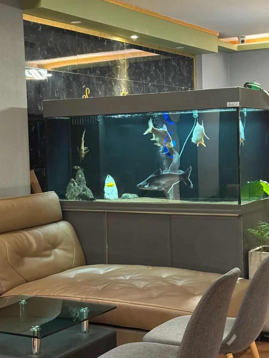 Full view of the tidy waiting area