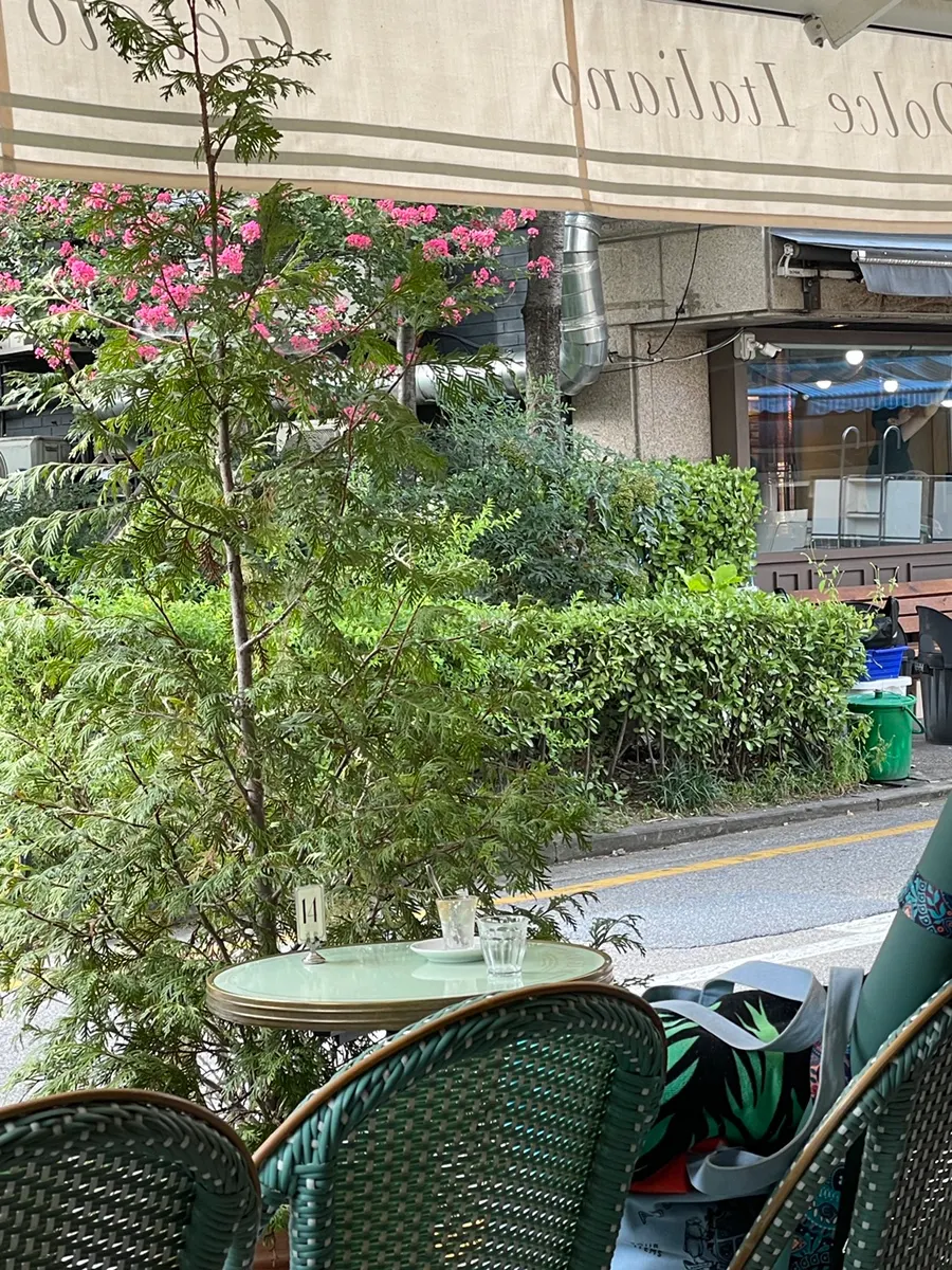 Damgeum's lush green café space