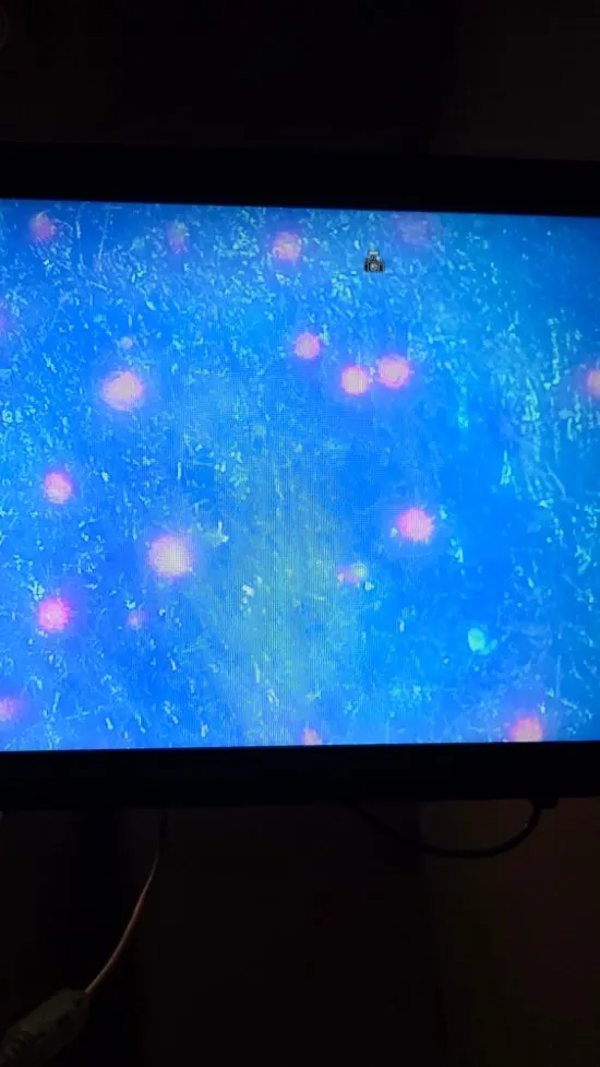 Skin scanning screen shown in a different mode