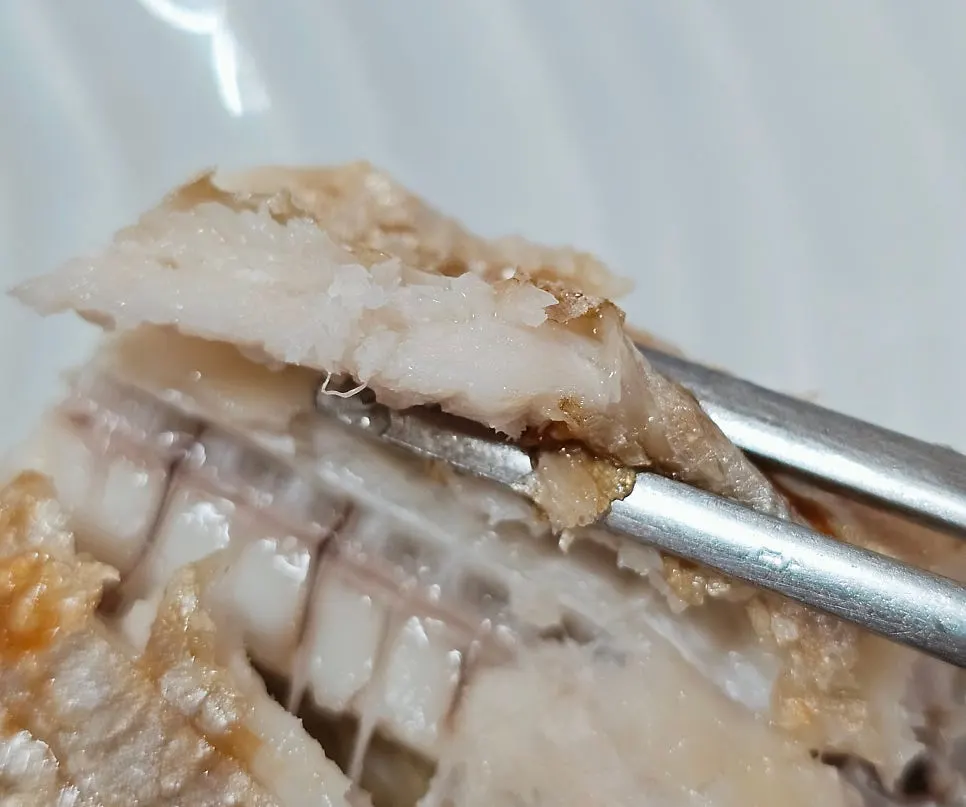Close-up of the complimentary grilled cutlassfish