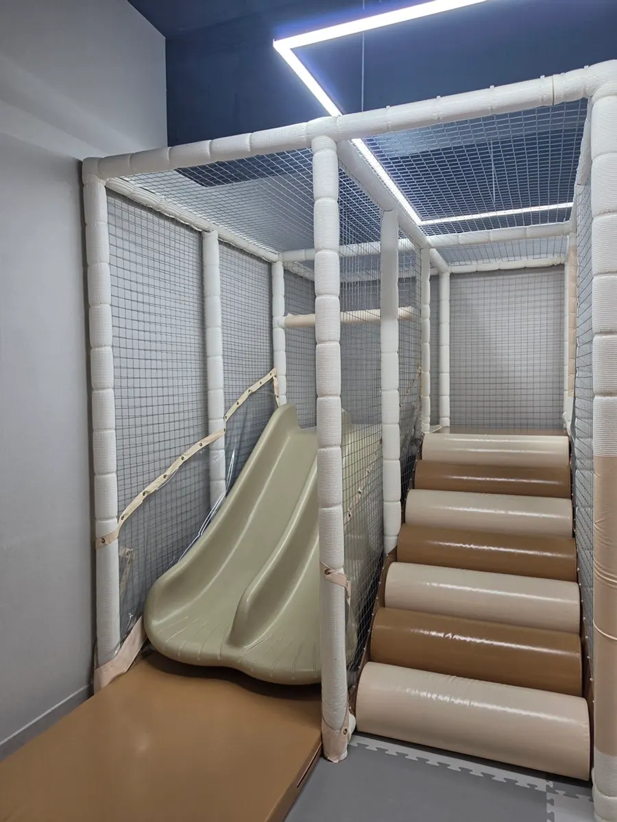Kids using the kids' zone space