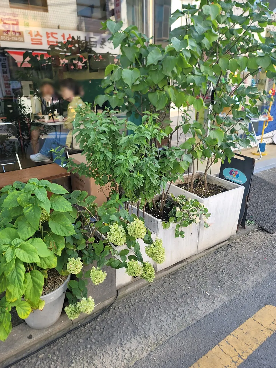 Entrance with plants and a character logo