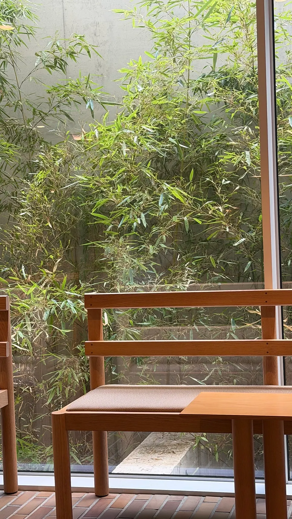 Green plants in the courtyard in front of the window