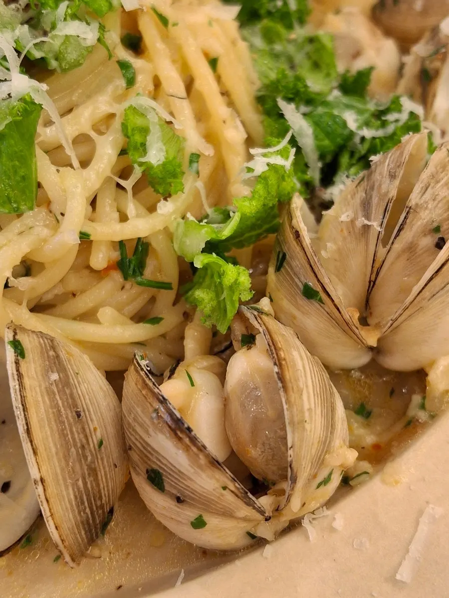 Close-up of vongole pasta showing plump clams