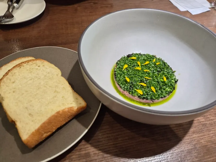 The ordered tartare and pasta dishes