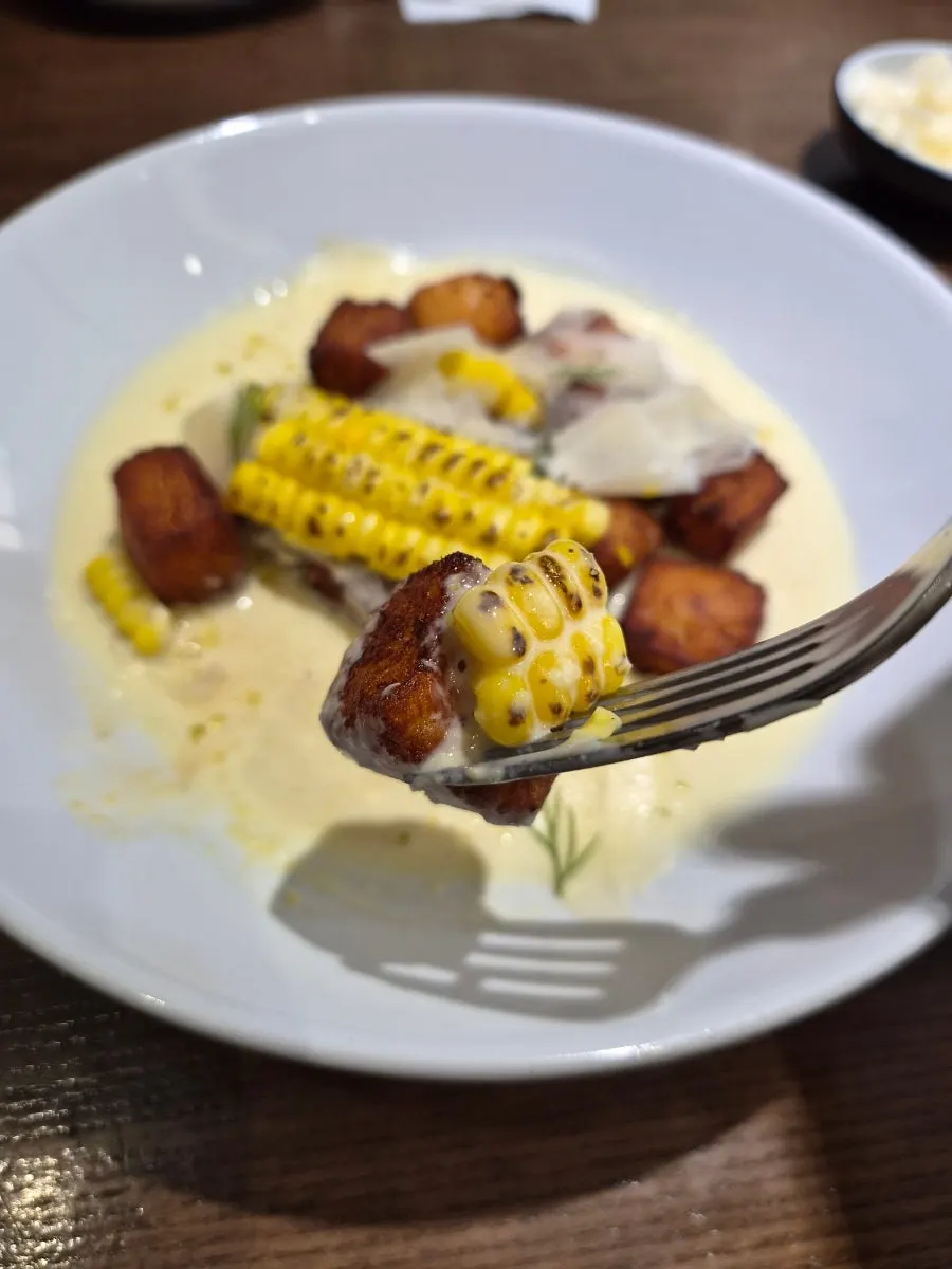 Fried potato gnocchi in cream sauce