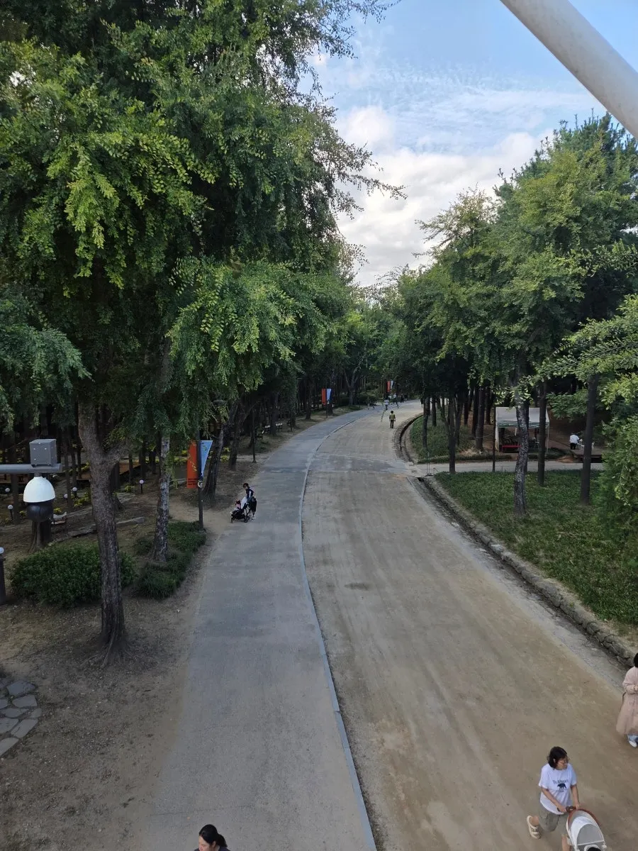 Seoul Forest walking path in early autumn