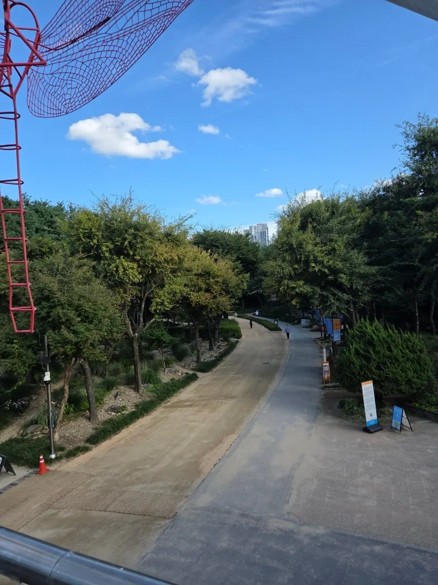 Seoul Forest walking path in early autumn