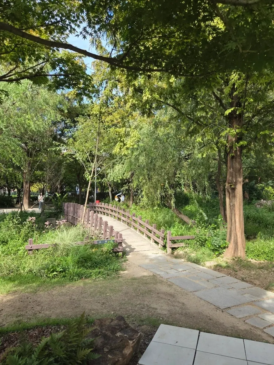 Seoul Forest walking path in early autumn