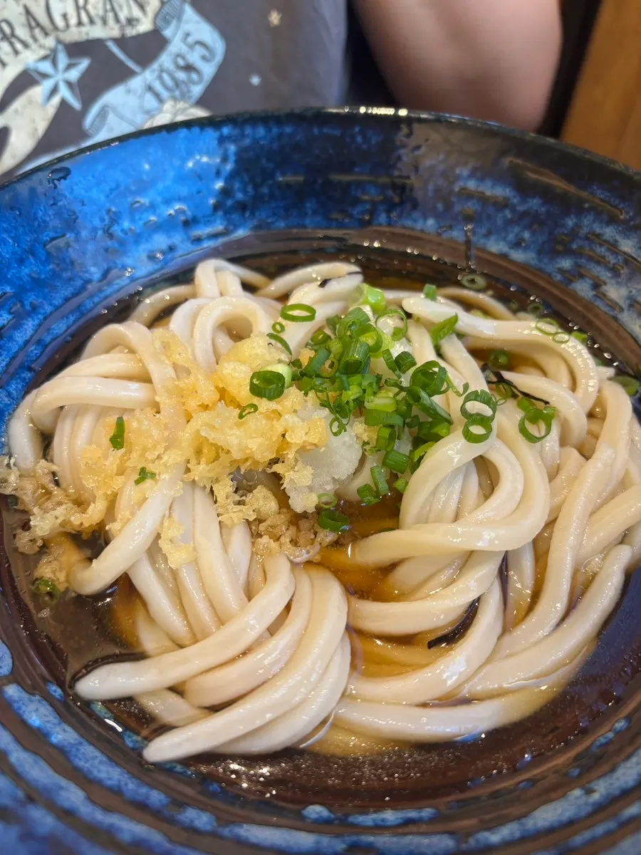 Toppings on cold udon viewed from above