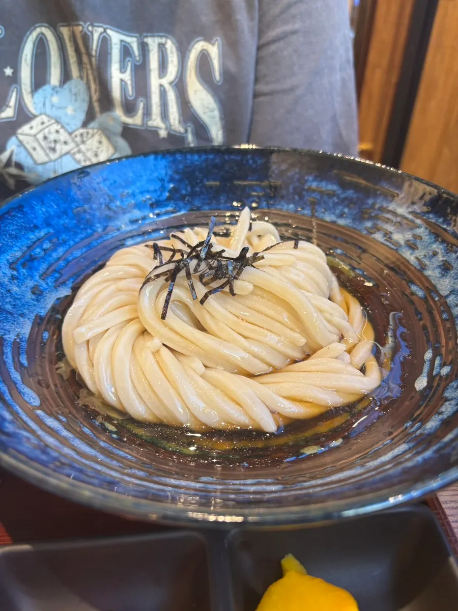 Chewy udon noodles lifted with chopsticks