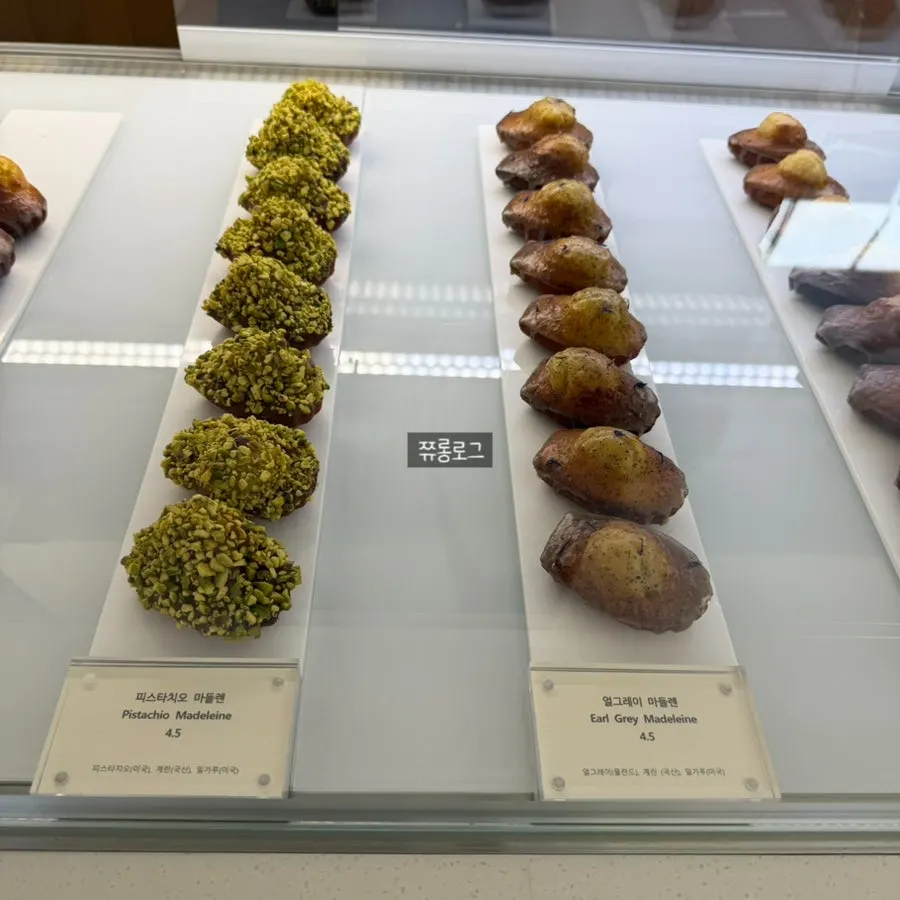 노틀던 마들렌 셀렉션 패키지