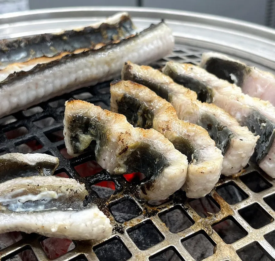 Plate of plump domestic freshwater eel
