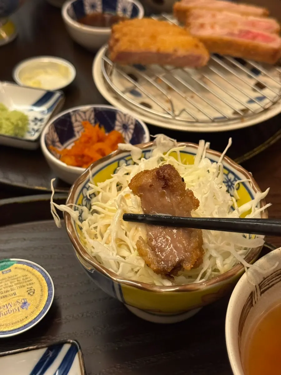 부드러운 안심 규카츠 조각