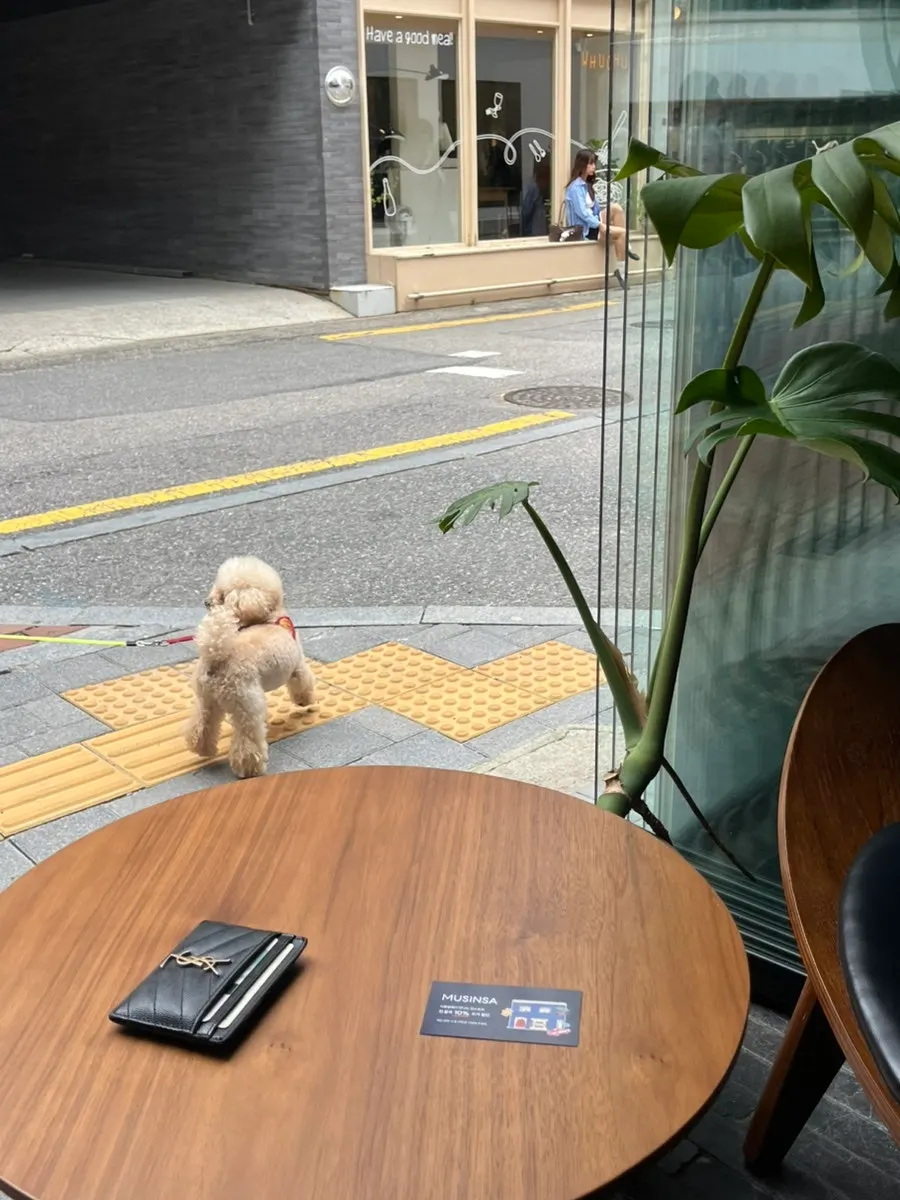 Window seat at Iridescent with outside air flowing in