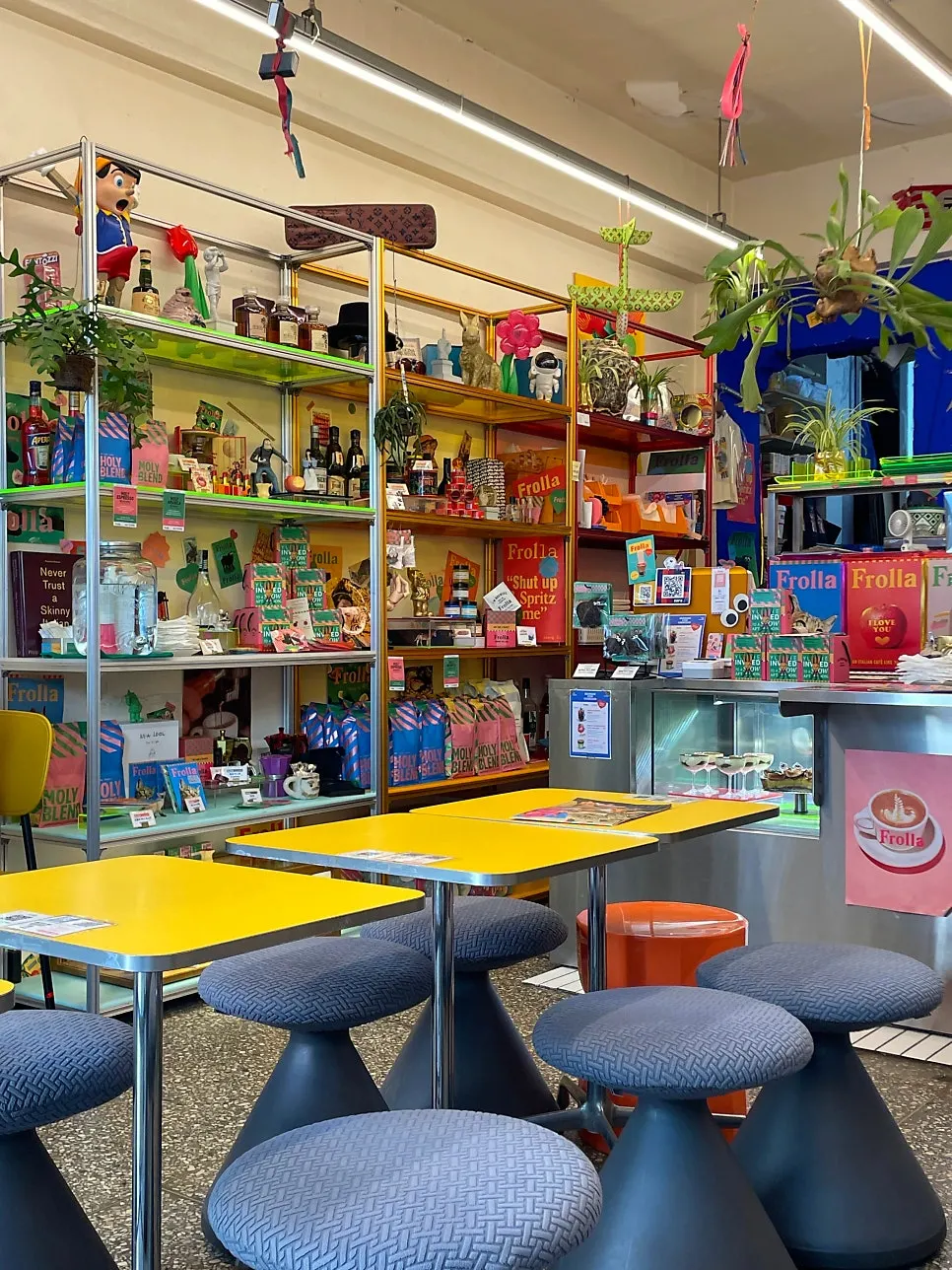 Frolla interior with objects and plants