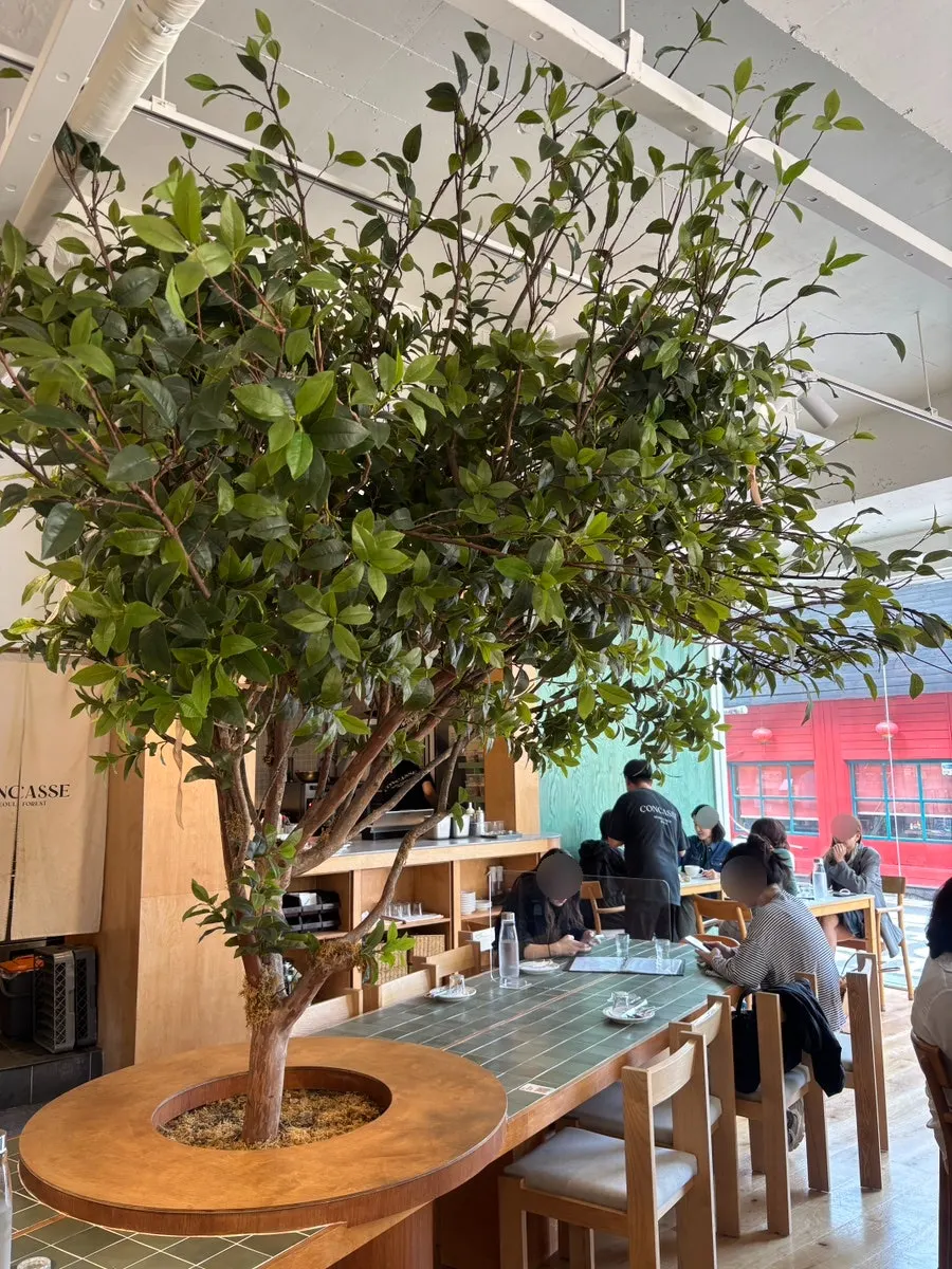 데이트 장소로 소개된 콩카세 성수