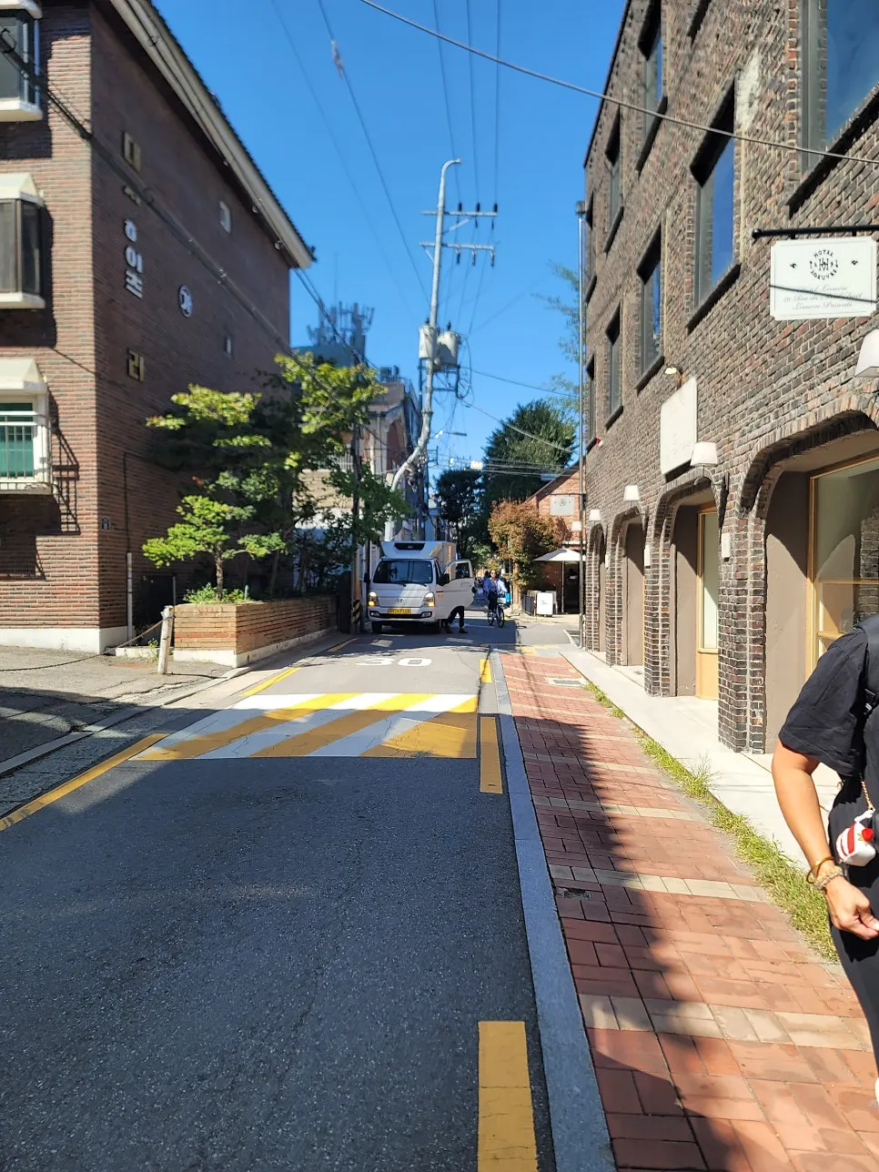 점심시간 서울숲2길 산책로 풍경