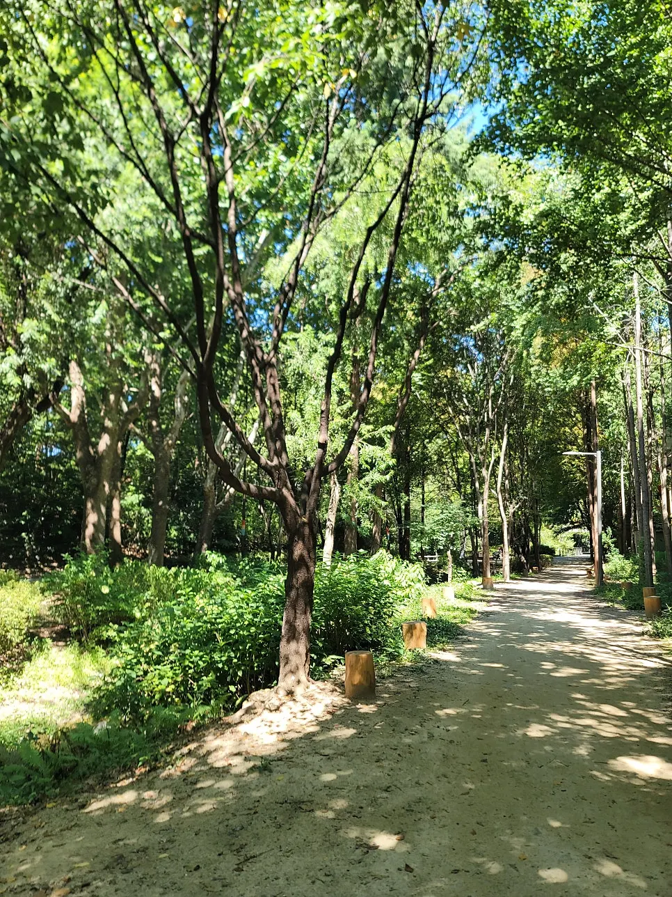 카페 이후 걸은 서울숲 산책길