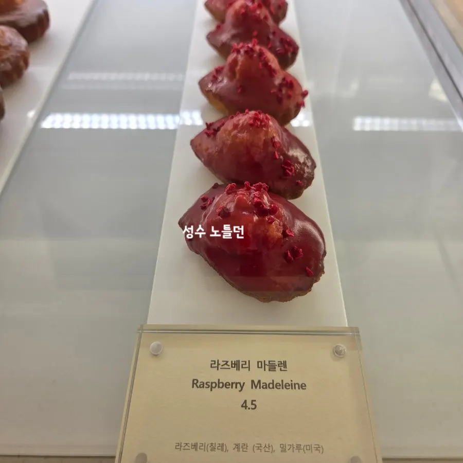 노틀던 바닐라 마들렌