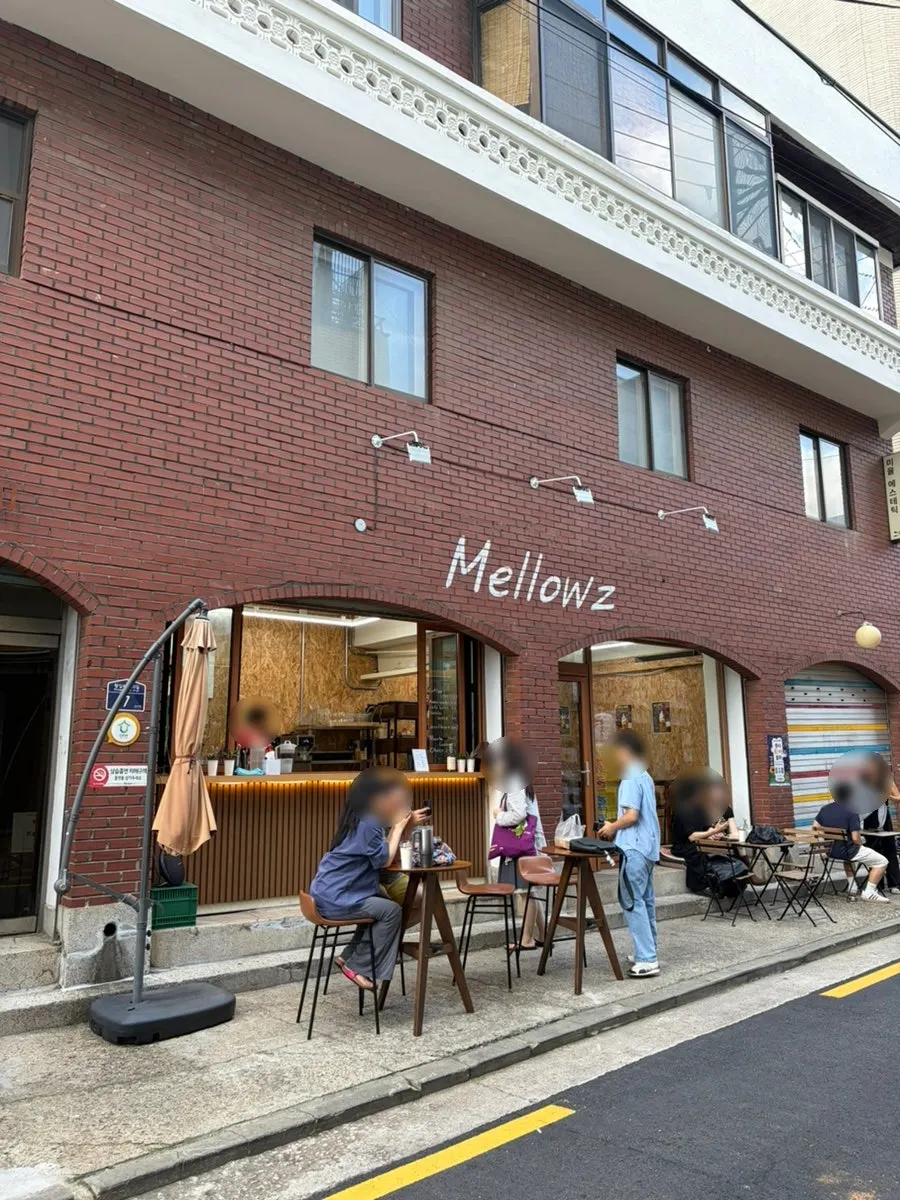 Visiting Mellows in Seongsu