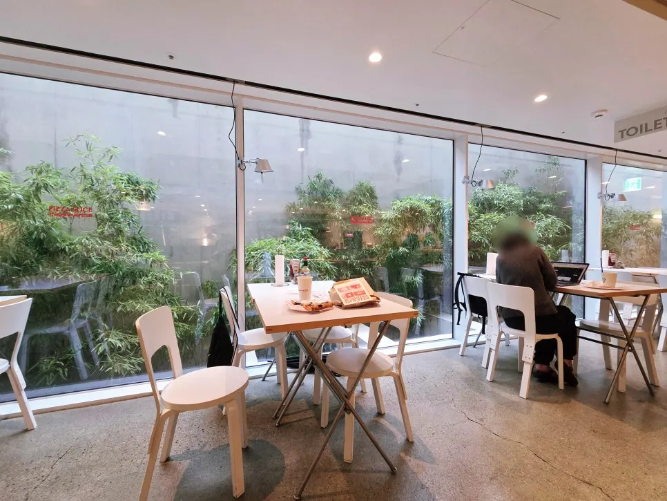 View through the glass of concrete walls and trees