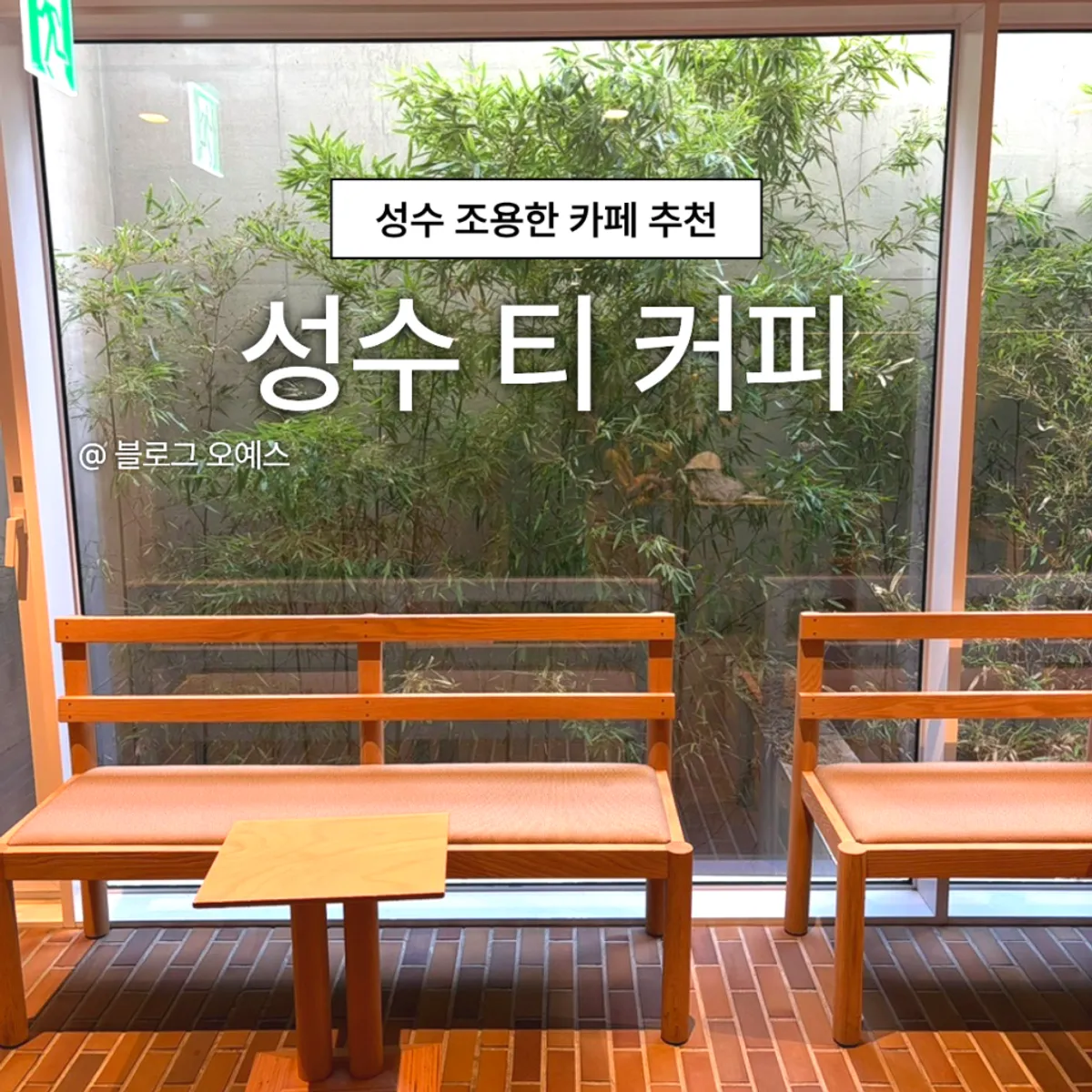 성수 티커피 방문을 소개하는 대표 사진