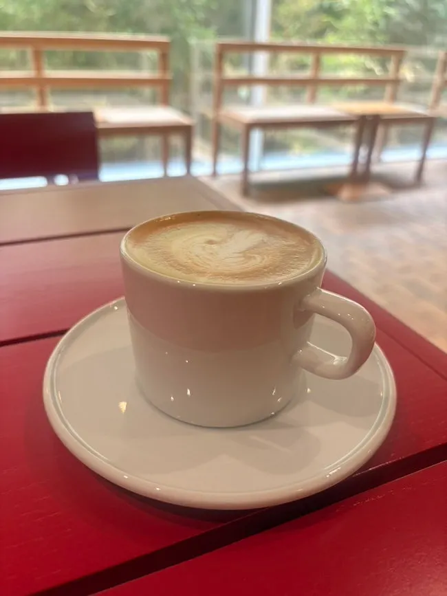 A cup of warm almond latte