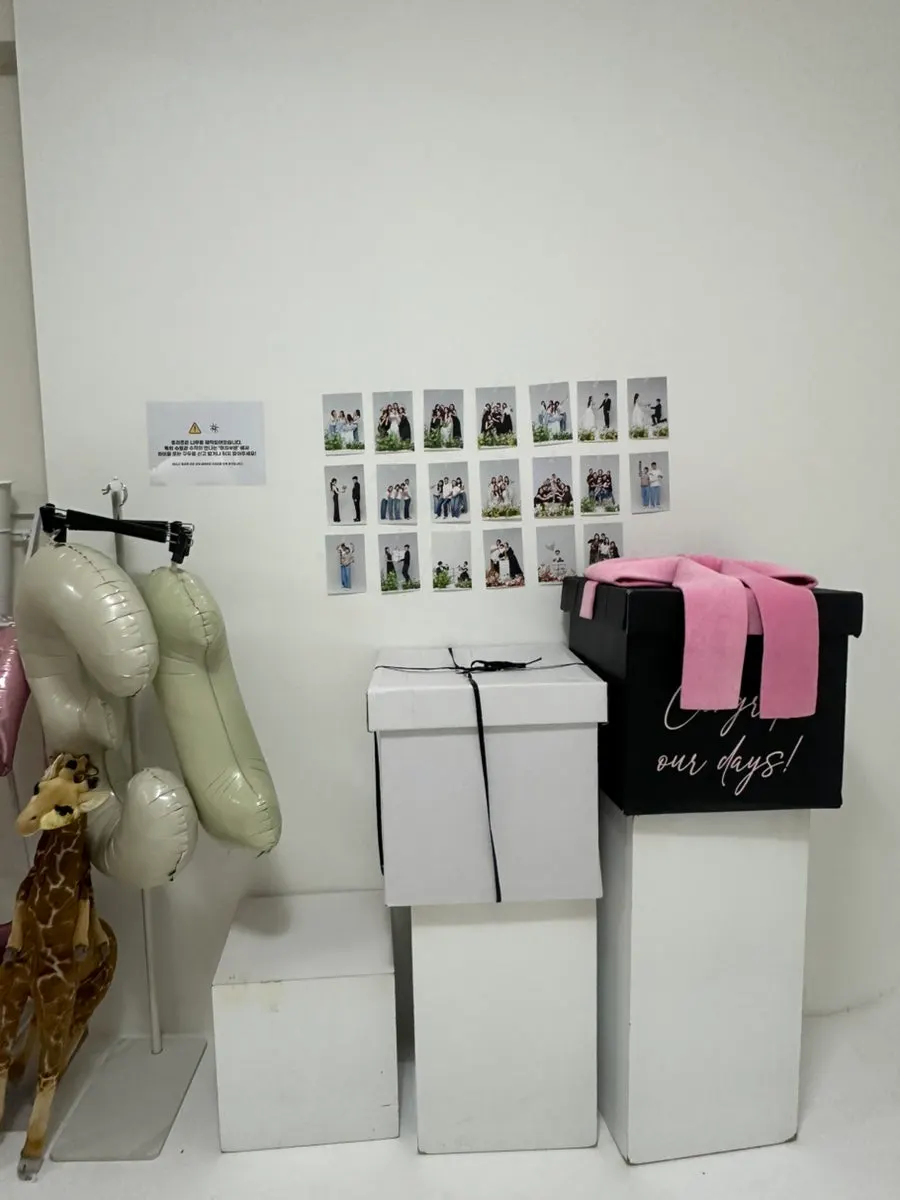 무료 꽃 촬영 소품