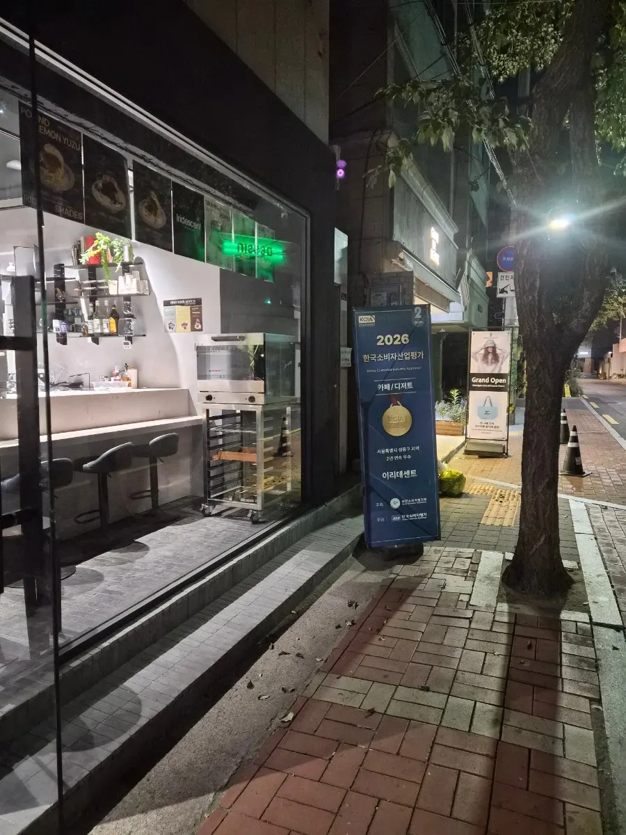 몬스테라 화분이 놓인 카페 실내 코너