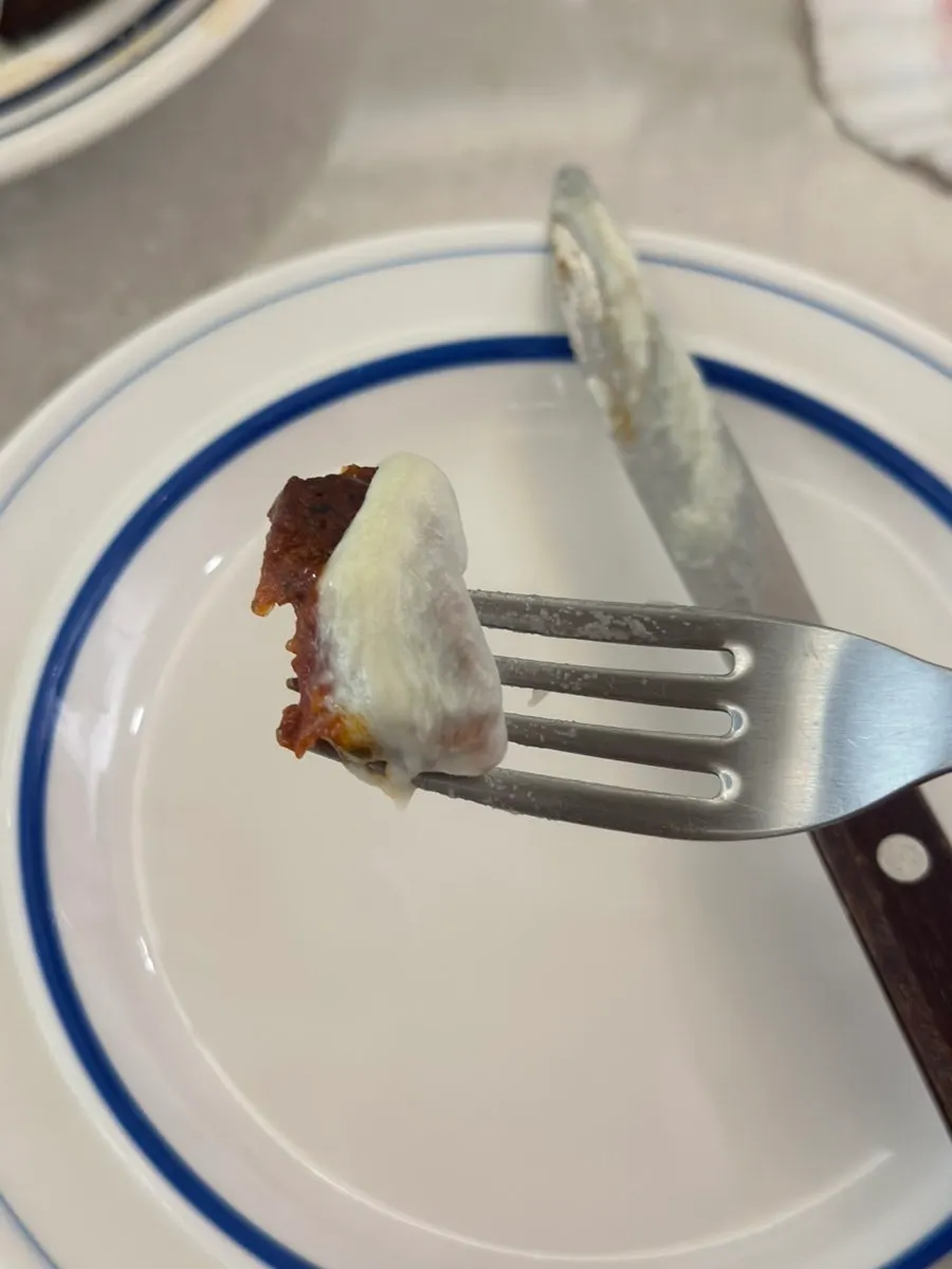 Cross-section of the lasagna cut with a knife