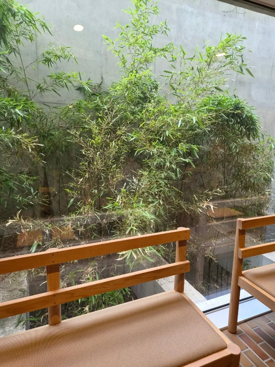Well-spaced café tables next to a floor-to-ceiling window