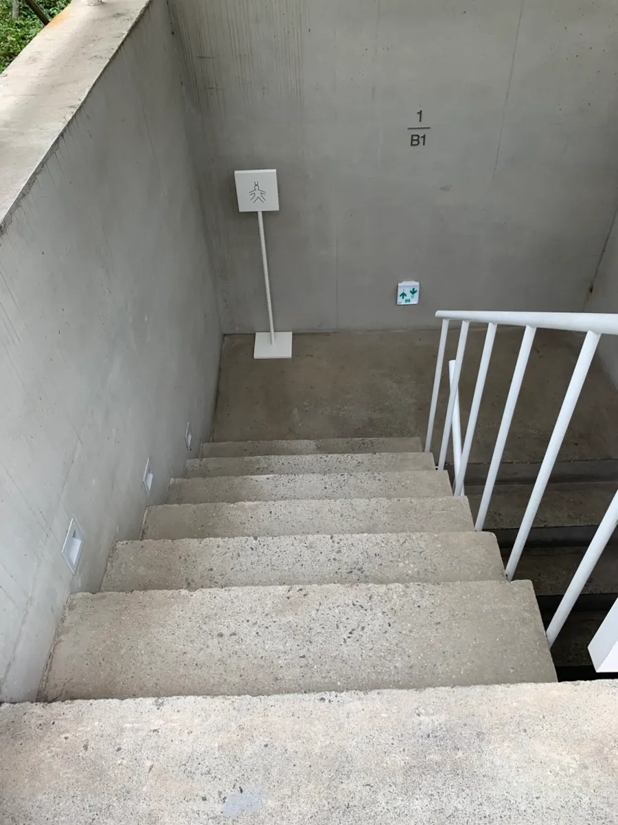 Stairs leading down to the basement floor