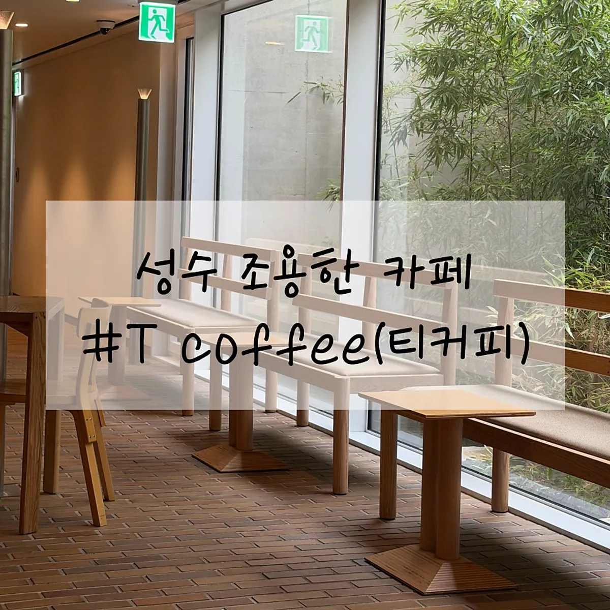Window seat at T Coffee Seongsu with a green view