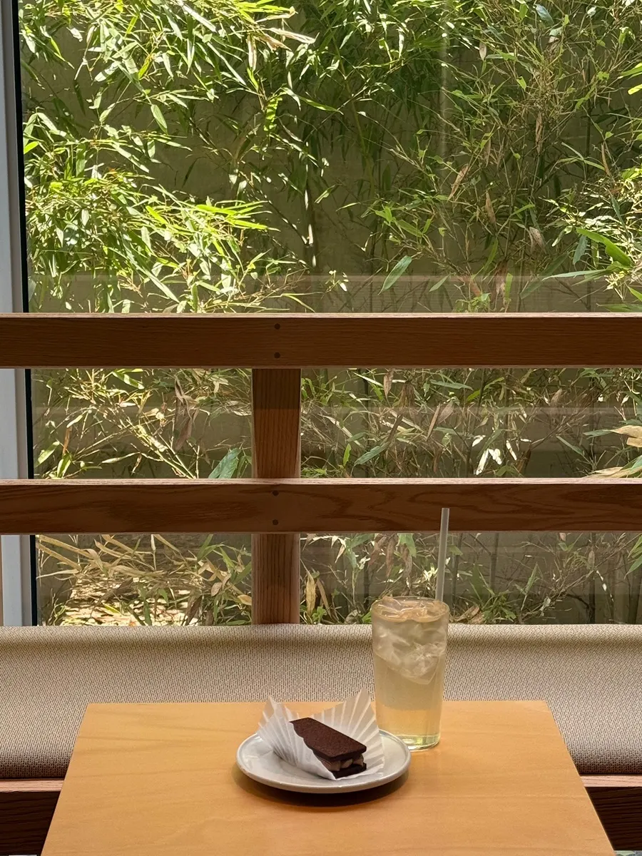 Finishing a cup of mugwort tea by the window
