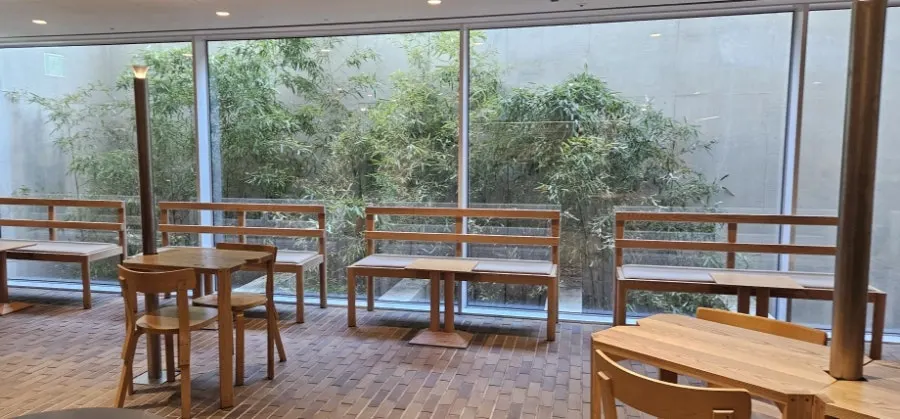 Window view of green bamboo