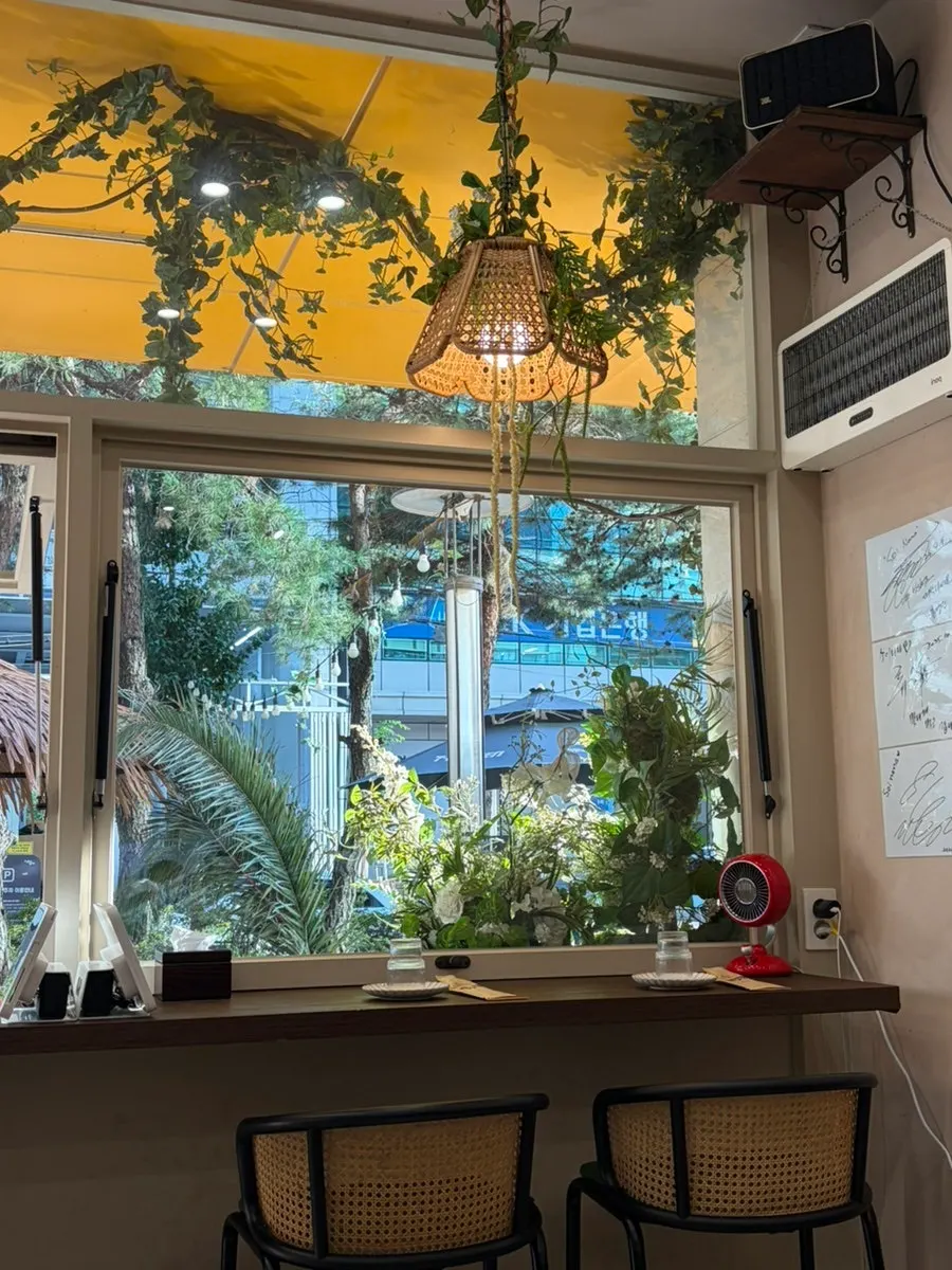 Asientos junto a la ventana donde se menciona que se permiten perros
