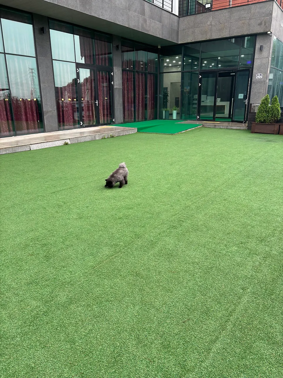 Pension grass run in cloudy weather