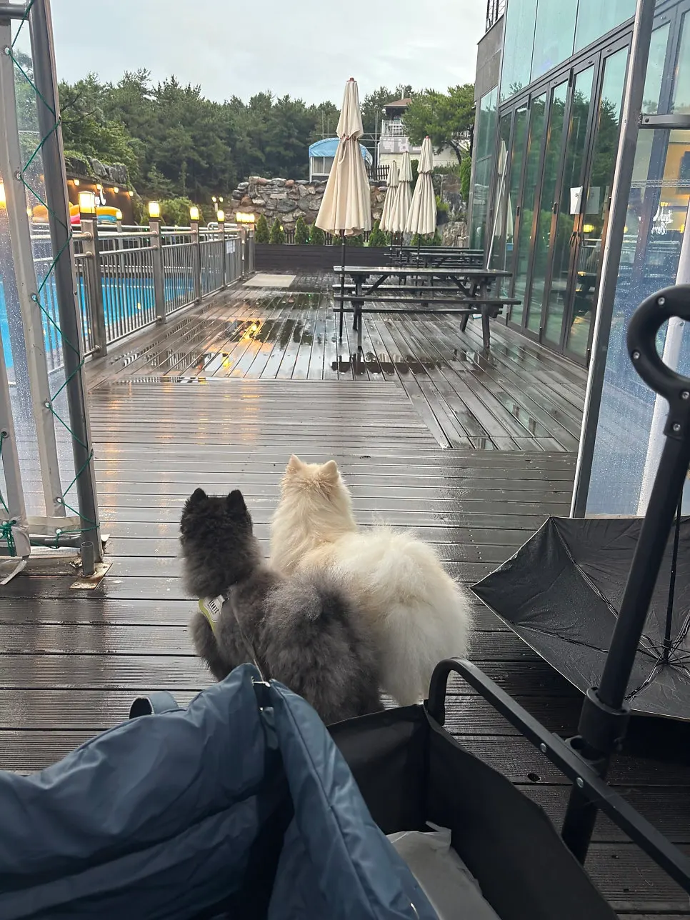 Indoor barbecue with the sound of rain
