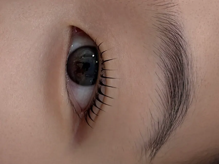 Close-up of neatly lifted lashes after treatment, curled one by one