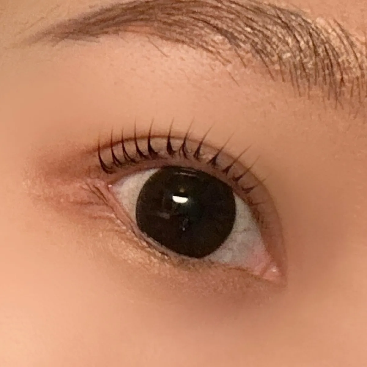 Round curled lashes after the On The Signature Perm