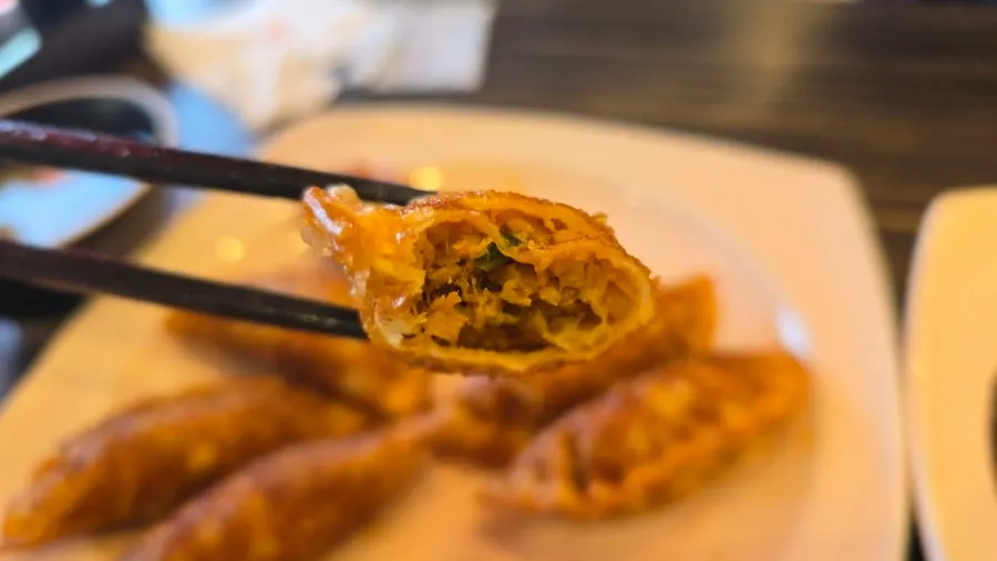 A plate of crispy fried jjamppong mandu