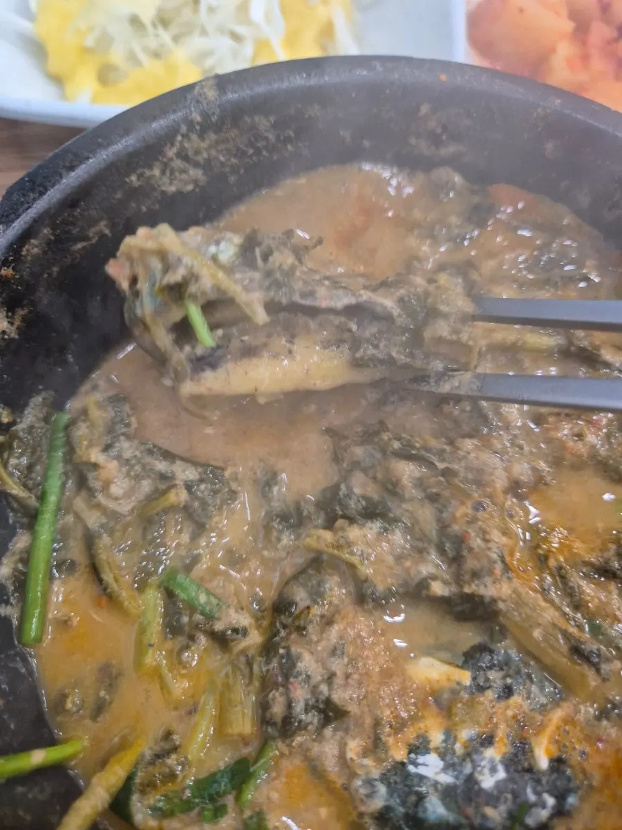 Whole abalone prepared with tongs and scissors