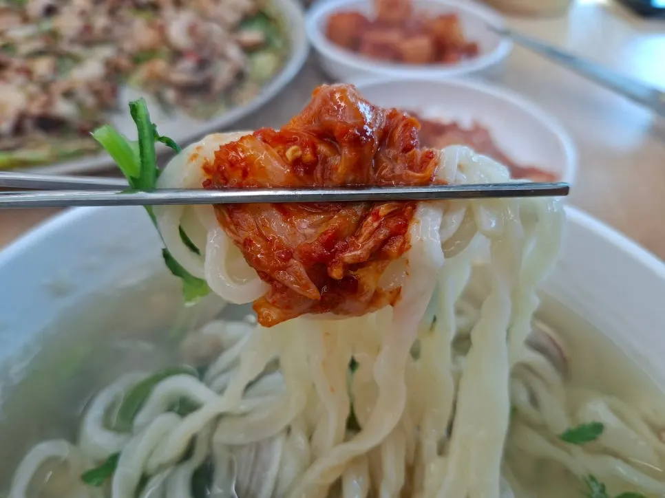 Chewy kalguksu noodles lifted from the bowl