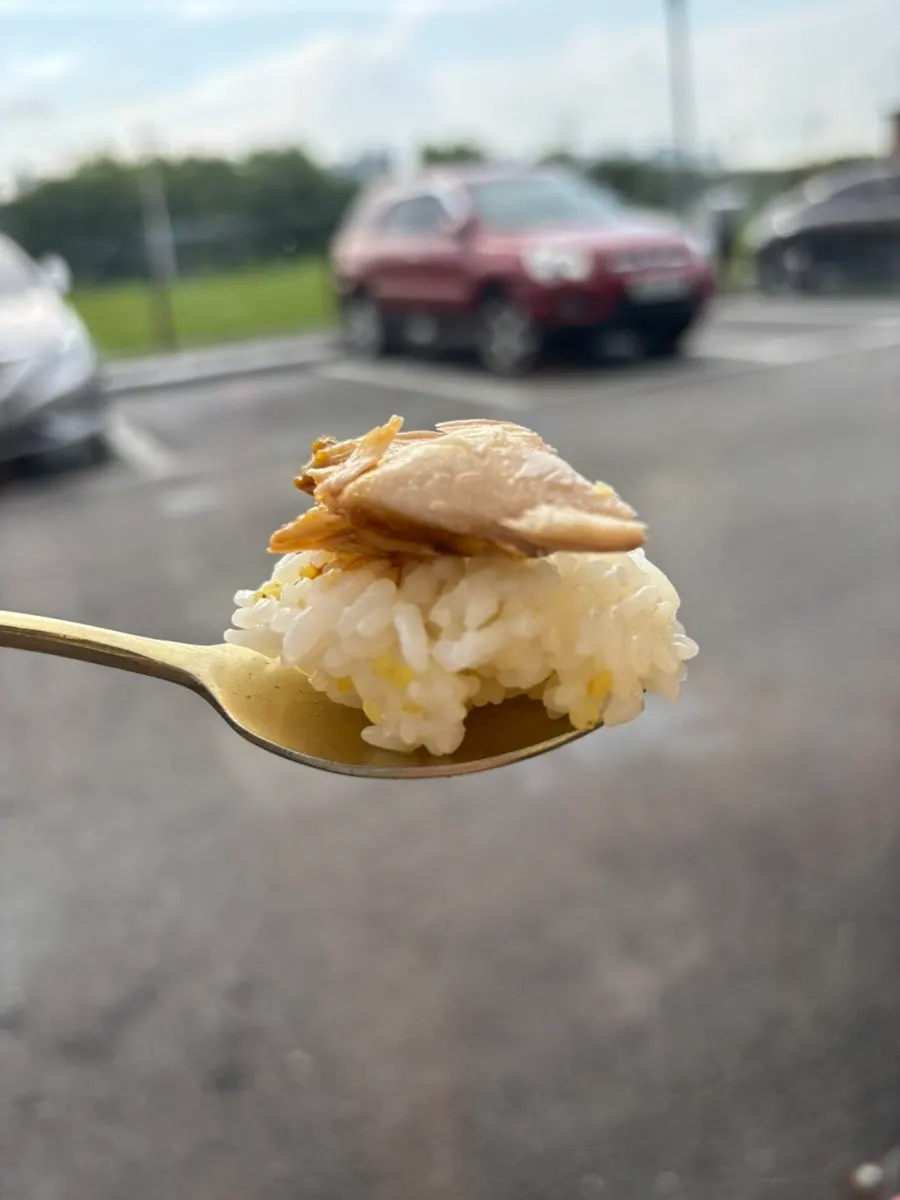 A spoonful of rice topped with fish