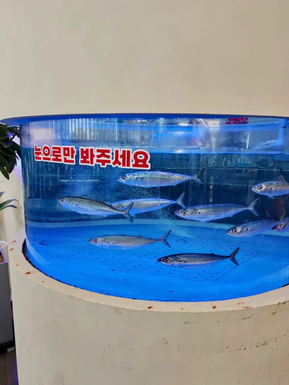 생선구이 메뉴 구성 안내